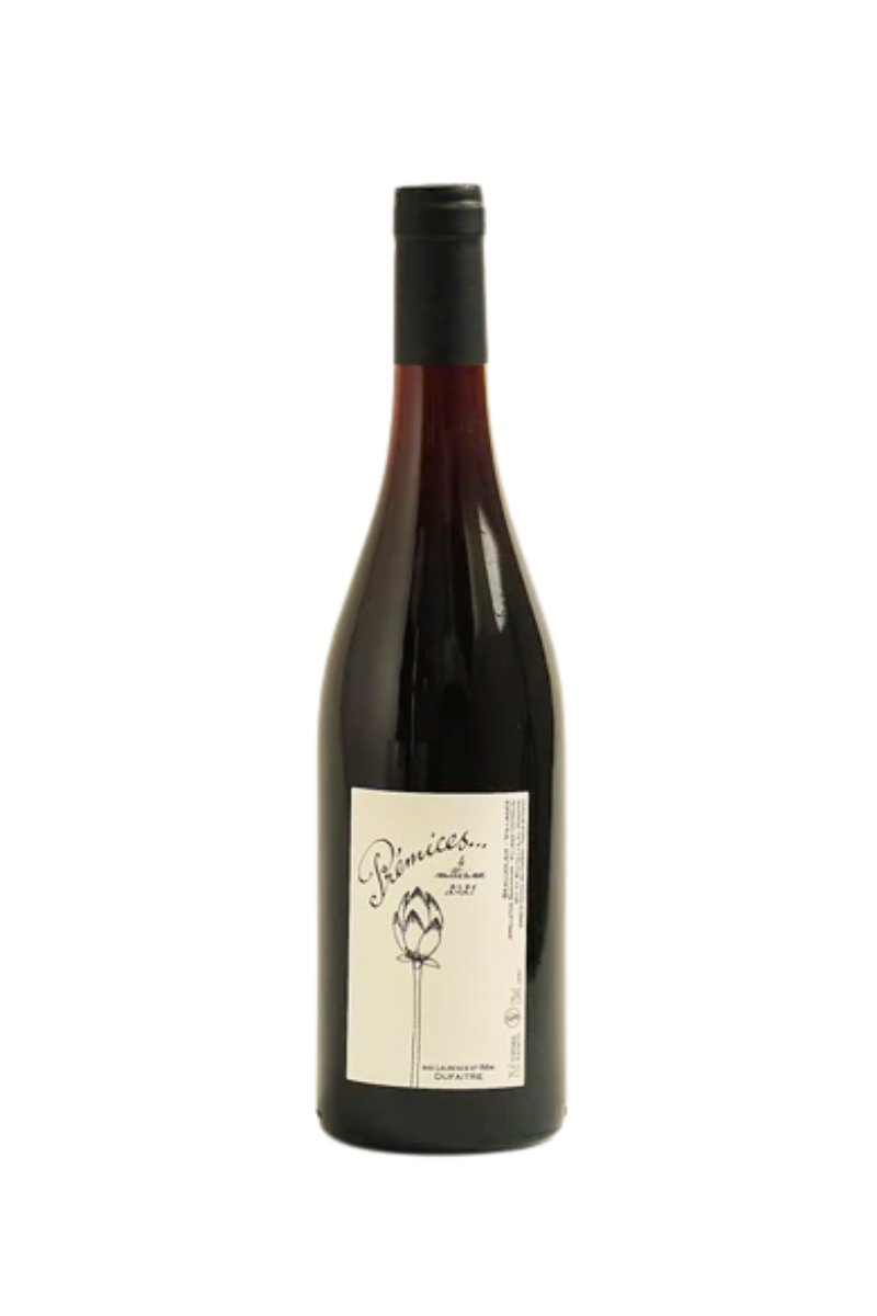 Remi & Laurence Dufaitre Beaujolais Premices 2023