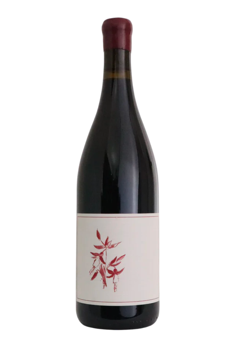 Arnot-Roberts Que Syrah Vineyard Sonoma Coast 2021