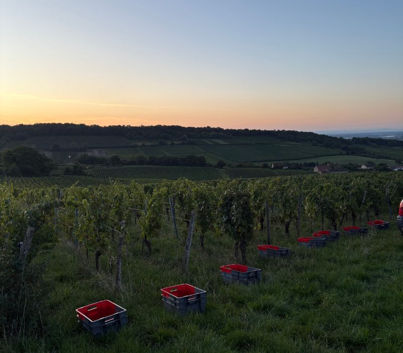 A new platform to share!