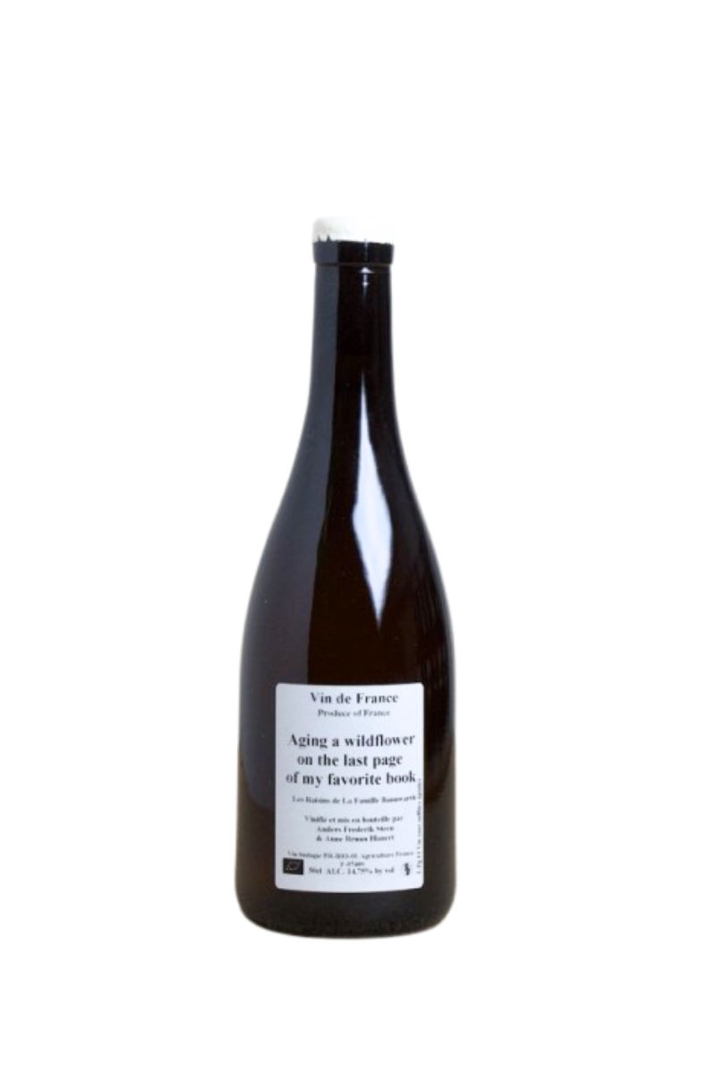 Anders Frederik Steen Aging A Wildflower On The Last Page Of My Favorite Book 2013