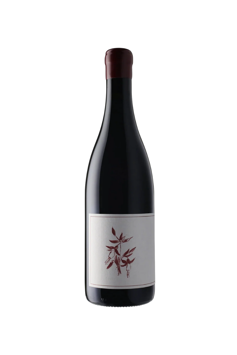 Arnot-Roberts Syrah Sonoma Coast 2023
