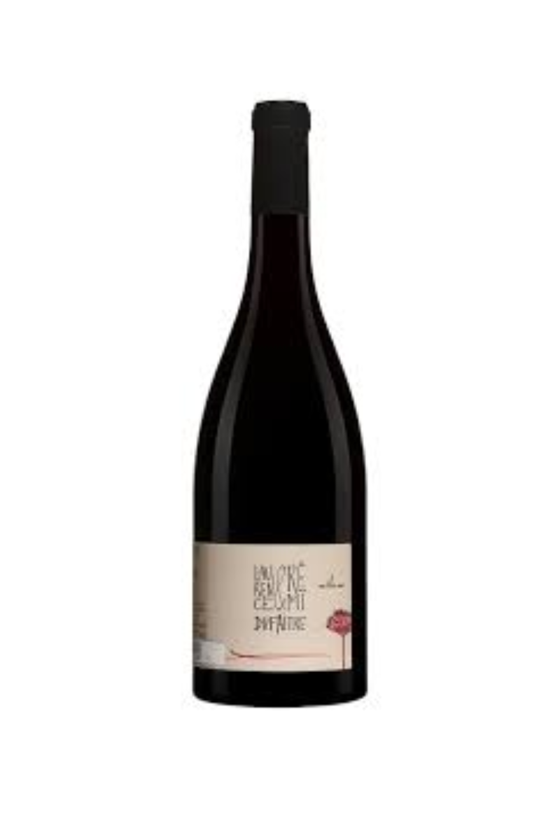 Remi & Laurence Dufaitre Brouilly 2023