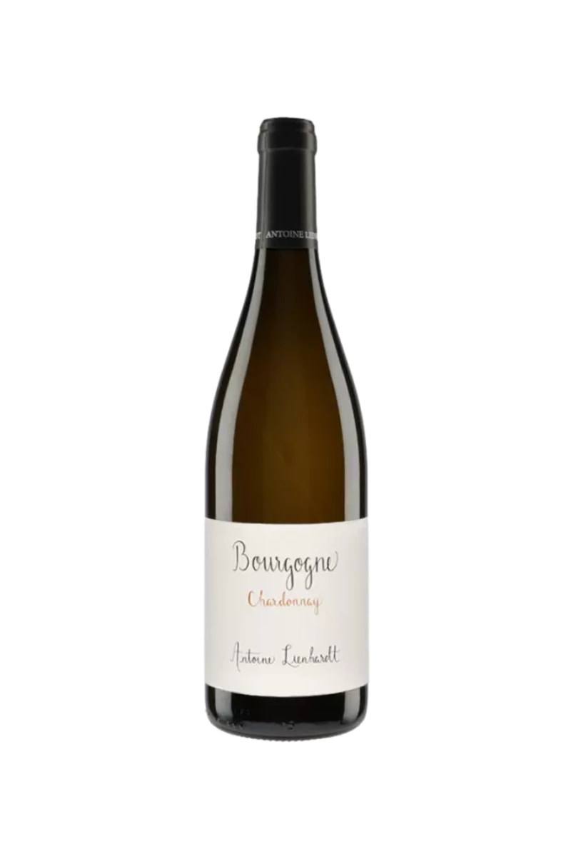 Antoine Lienhardt Bourgogne Chardonnay 2021
